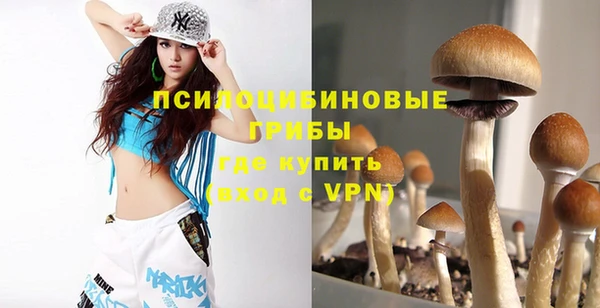 винт Мегион