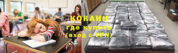 молекула духа Медвежьегорск