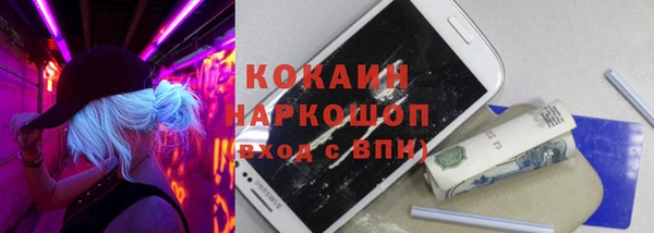 винт Мегион
