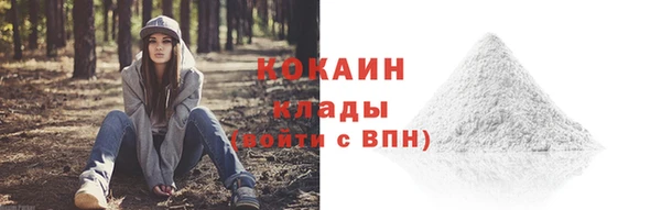 винт Мегион