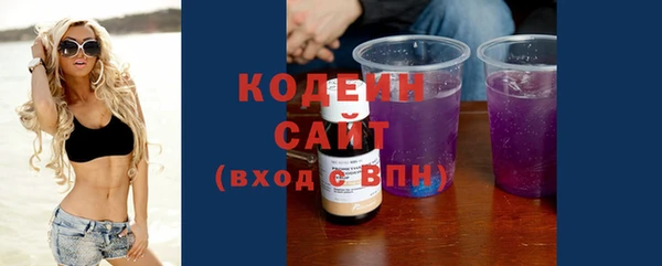 молекула духа Медвежьегорск