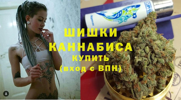 молекула духа Медвежьегорск