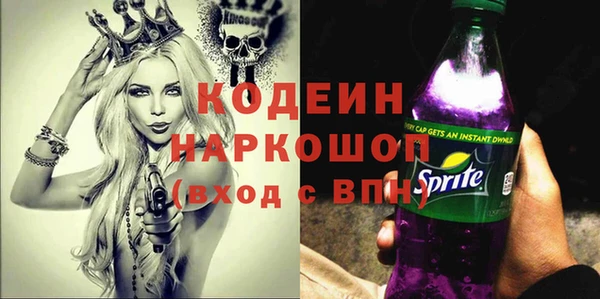 молекула духа Медвежьегорск
