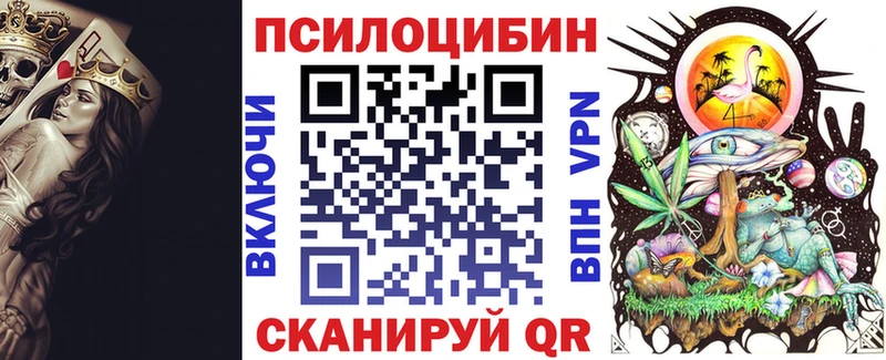 Галлюциногенные грибы Psilocybine cubensis  купить  цена  Междуреченск 