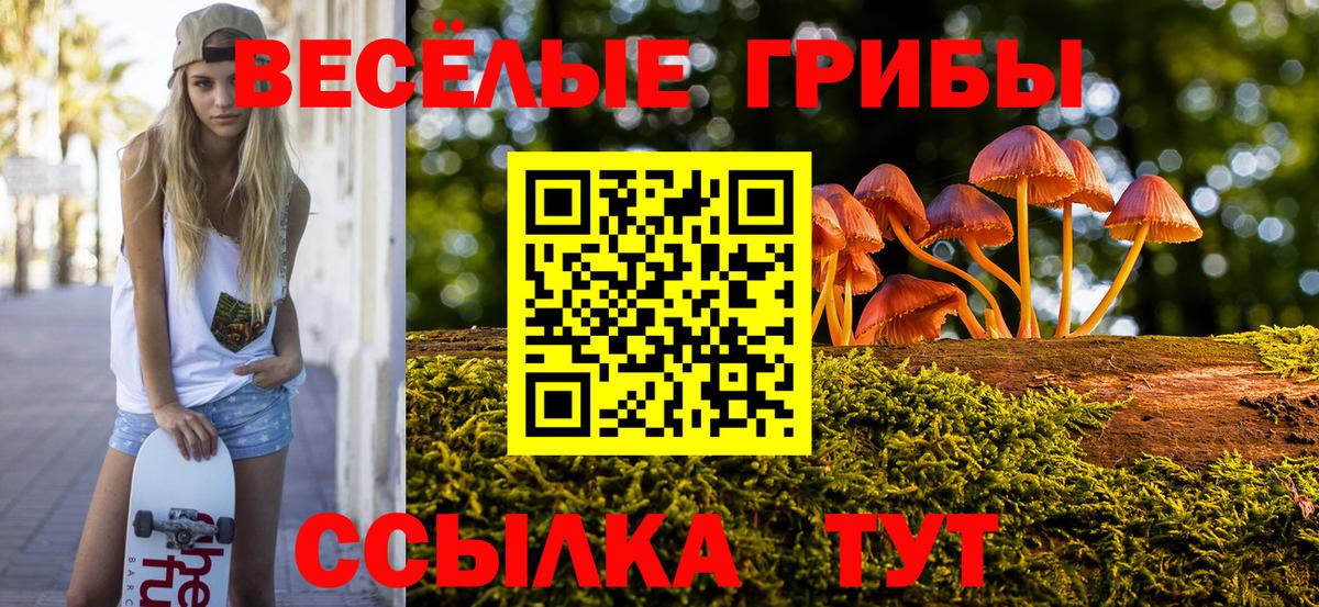 Междуреченск  Галлюциногенные грибы MAGIC MUSHROOMS  Вход с VPN  Псилоцибиновые грибы Psilocybe 